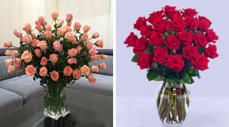 Mẹo giúp bạn cắm hoa hồng tươi lâu