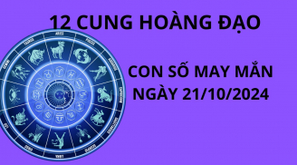 Tử vi ngày 21/10, con số may mắn phát tài phát lộc cho 12 cung hoàng đạo một ngày tốt lành