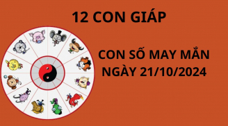 Tử vi ngày 21/10, con số may mắn số đẹp tài lộc giúp 12 con giáp thuận lợi thăng tiến phát tài