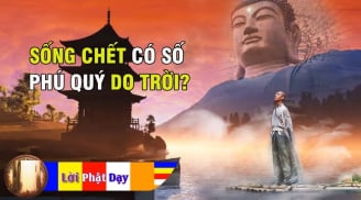 Phật dạy: 'Sống chết có số, phú quý do trời', vế sau ai biết được sống mới an yên