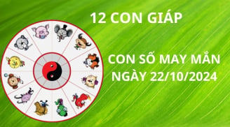 Tử vi ngày 22/10 con số may mắn cho 12 con giáp gặp thuận lợi nhận mưa vàng tài lộc từ thần tài