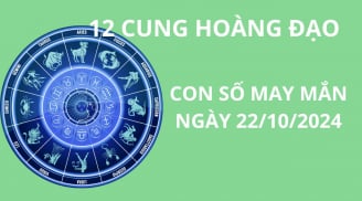 Tử vi ngày 22/10, con số may mắn rước tài hút lộc cho 12 cung hoàng đạo đổi đời giàu có