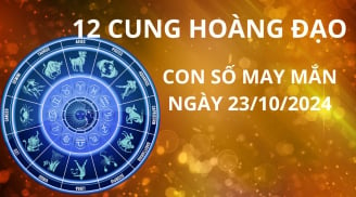 Tử vi ngày 23/10, con số may mắn thu hút vàng bạc giúp vượng tài lộc cho 12 cung hoàng đạo