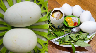 Mẹo nhận biết trứng vịt lộn già và trứng vịt lộn non, chọn 10 quả ngon cả 10