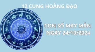 Tử vi ngày 24/10, con số may mắn mang theo cơn mưa vàng tài lộc cho 12 cung hoàng đạo