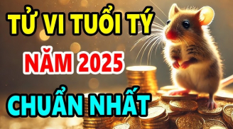Tử vi tuổi Tý 2025: Tam Tai đã thoát, có thể mưu đồ sự lớn nhưng cần thận trọng những điều này