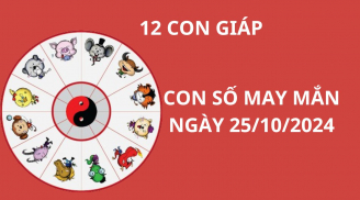 Tử vi ngày 25/10, con số may mắn giúp 12 con giáp gặp cơn mưa tài lộc, thuận lợi phát tài giàu có