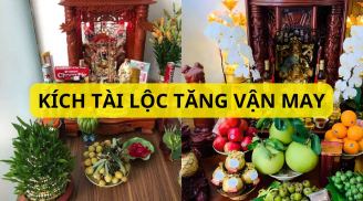 3 loại cây thủy sinh trồng ở ban thờ Thần tài giúp gia chủ phát tài giàu có, tiền bạc rủng rỉnh