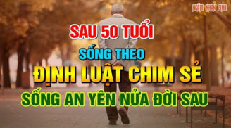 Đến ngưỡng 50, muốn sống an yên đến cuối đời phải nhớ 'Định luật chim sẻ': Đó là gì?