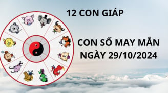 Tử vi ngày 29/10, con số may mắn giúp khai mở kho vàng tài lộc mang lại niềm vui cho 12 con giáp