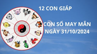 Tử vi ngày 31/10, con số may mắn giúp 12 con giáp có ngày hanh thông giàu có lộc lá tiền bạc