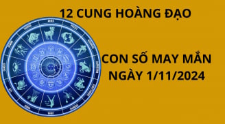 Tử vi ngày 1/11, con số may mắn giúp 12 chòm sao gặp thuận lợi cơ hội gia tăng tình cảm, làm giàu