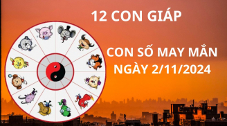 Tử vi ngày 2/11, con số may mắn thần tài chỉ điểm cho 12 con giáp thuận lợi phát tài giàu có