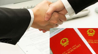 Chuyển nhượng đất đồng sở hữu có được không, thủ tục chuyển nhượng cho con cần những gì?