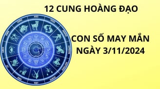 Tử vi ngày 3/11, con số may mắn giúp 12 chòm sao vượt khó thành công, chạm tới giàu sang hạnh phúc