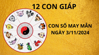 Tử vi ngày 3/11, con số may mắn Thần Tài ban lộc giàu có cho 12 con giáp