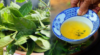 Mẹo hãm nước chè tươi xanh ngắt, không bị chát, để lâu không bị đỏ nước