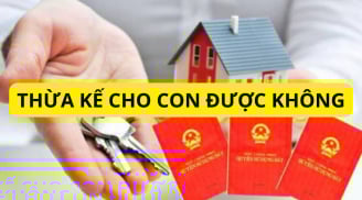 Đất chưa được cấp sổ đỏ có được di chúc lại cho con hay không? Cập nhật quy định mới kẻo thiệt thòi