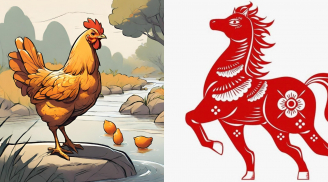 Tài không đợi tuổi, 4 con giáp sau tuổi 35 phất như diều gặp gió, an nhàn giẫm lên tiền tận hưởng