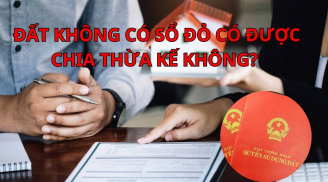 Theo pháp luật, đất không có Sổ đỏ có được chia thừa kế không?