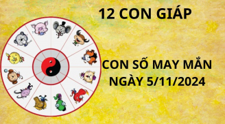 Tử vi ngày 5/11, con số may mắn cho 12 con giáp thuận lợi tốt lành vui vẻ, xem bạn có giàu lên không