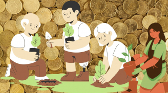 Người xưa mách cách trồng cây cảnh phía Đông hốt vàng phía Tây chạm bạc, làm theo ngay để giàu có