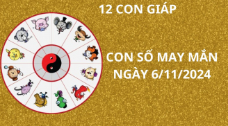 Tử vi ngày 6/11, con số may mắn được Tổ độ cho 12 con giáp cơ hội phát tài giàu có