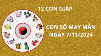 Tử vi ngày 7/11, con số may mắn thần tài ban lộc cho 12 con giáp cơ hội thuận lợi đổi đời