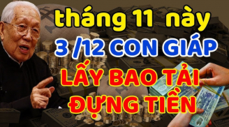 20 ngày cuối tháng 11 dương: 3 tuổi vét cạn ví Thần Tài, Tiền-Lộc-Danh rực rỡ