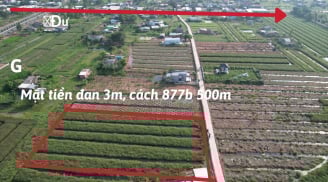 Có tiền mua đất nhớ cầm về thứ này, bạn sẽ chẳng lo bị thiệt