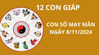 Tử vi ngày 8/11 Thần Tài chỉ đường dẫn lối ban cho con số may mắn tới 12 con giáp, dùng đúng phát tài