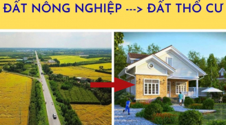 Trường hợp đất nông nghiệp nào được chuyển đổi sang đất ở?