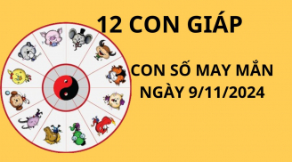 Tử vi ngày 9/11, con số may mắn thuận lợi cho 12 con giáp ăn lộc thần tài no đủ giàu có