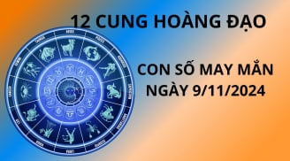 Tử vi ngày 9/11, con số may mắn thượng đế gửi tặng 12 chòm sao để thu hút giàu có phát tài cuối năm