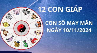 Tử vi ngày 10/11, con số may mắn được tổ mách bảo cho 12 con giáp giàu có vui vẻ hanh thông vạn sự