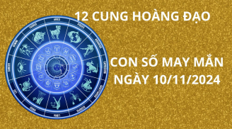 Tử vi ngày 10/11, con số may mắn tinh tú chiếu rọi cho 12 chòm sao thuận lợi giàu có