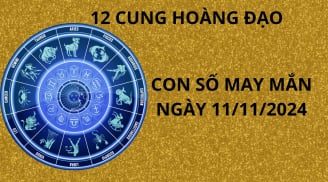 Tử vi ngày 11/11, con số may mắn cho 12 chòm sao may mắn thuận lợi có thể giàu lên trông thấy