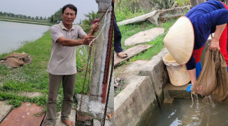 Nuôi loài vật 'trời cho', anh nông dân Hải Phòng thu nhập khủng, mang lại cuộc sống giàu có