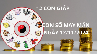 Tử vi ngày 12/11, con số may mắn cho 12 con giáp được lộc tổ tiên tăng cơ hội phát tài giàu có