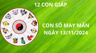 Tử vi ngày 13/11, con số may mắn cho 12 con giáp nhận lộc tổ tiên giàu sang no đủ