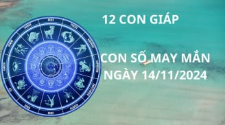 Tử vi ngày 14/11, con số may mắn ăn lộc lớn cho 12 chòm sao gặt hái thành công, phát tài giàu sang