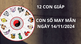 Tử vi ngày 14/11, con số may mắn cho 12 con giáp hưởng lộc từ bà cô tổ thuận lợi phát tài giàu có