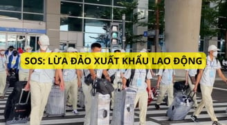 Cảnh báo khẩn cấp từ Bộ LĐTBXH: Người muốn đi xuất khẩu lao động đọc ngay thông tin này kẻo mất tiền oan