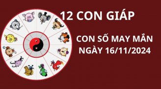 Tử vi ngày 16/11, con số may mắn nhận lộc tổ tiên cho 12 con giáp, ai nhanh chân chăm chỉ thì phát tài