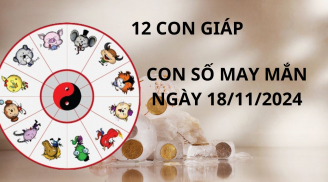 Tử vi ngày 18/11, con số may mắn được tổ tiên chỉ bảo giúp 12 con giáp làm ăn thuận lợi