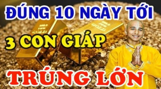 10 ngày cuối cùng tháng 11 dương: 3 tuổi Lộc Tài tăng vọt, không thành tỷ phú cũng là đại gia