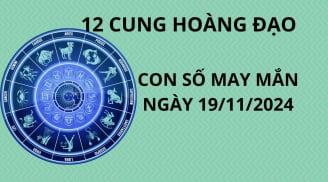 Tử vi ngày 19/11, con số may mắn dành tặng 12 chòm sao để tình cảm thăng hoa tiền bạc dồi dào