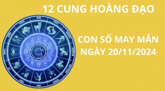 Tử vi ngày 20/11, con số may mắn cho 12 chòm sao vượng đường tài lộc, giàu có niềm vui