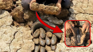 Loài cá sống trong lòng đất, không ăn mấy tháng trời vẫn béo mập như thường