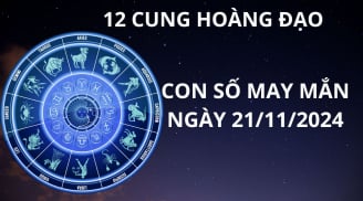 Tử vi ngày 21/11, con số may mắn giúp 12 chòm sao vượt ngàn chông gai chạm tới may mắn giàu sang